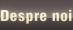 Despre noi
